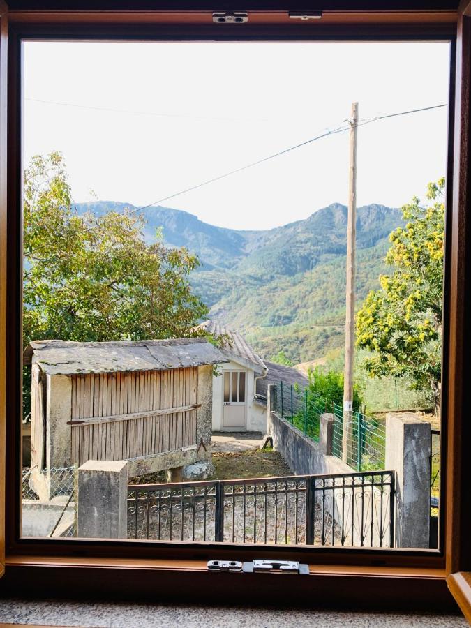 "Casa Do Avo Armindo" Mountain Experience Villa Vila Real Kültér fotó