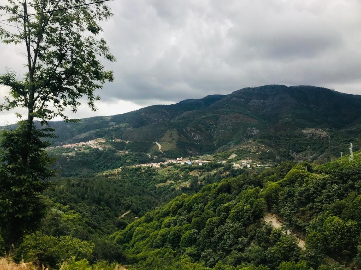 "Casa Do Avo Armindo" Mountain Experience Villa Vila Real Kültér fotó